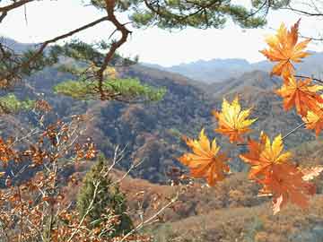 缅甸私人打胎药哪里有卖雀巢首席执行官：集团将重新聚焦核心业务